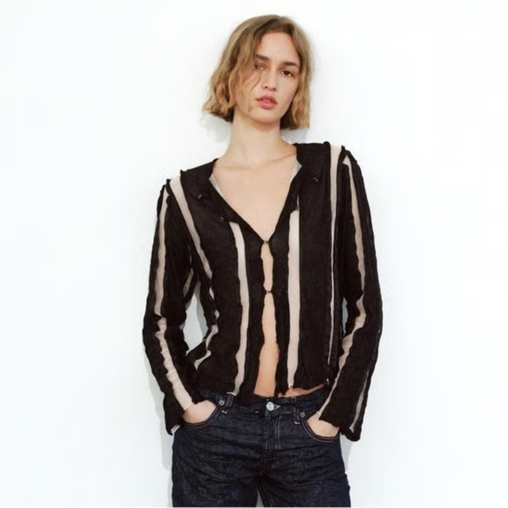 Zara Striped Organza Knit Cardigan